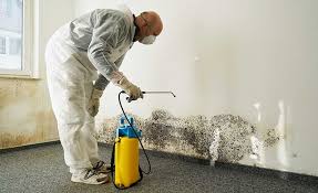 Professional Mold Remediation in Southeast Arcadia, FL